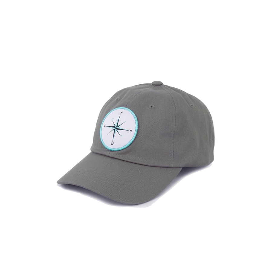 COMPASS DAD HAT GRAY